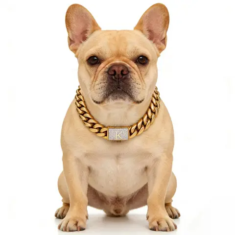 G1 18 Karat Gold Cuban Link Dog Collar, 14MM Heavy-Duty Chew-Proof Stainless Steel Chain with A-Z Zircon Letter, Personalized Accessory for Small, Medium, Large Dogs
