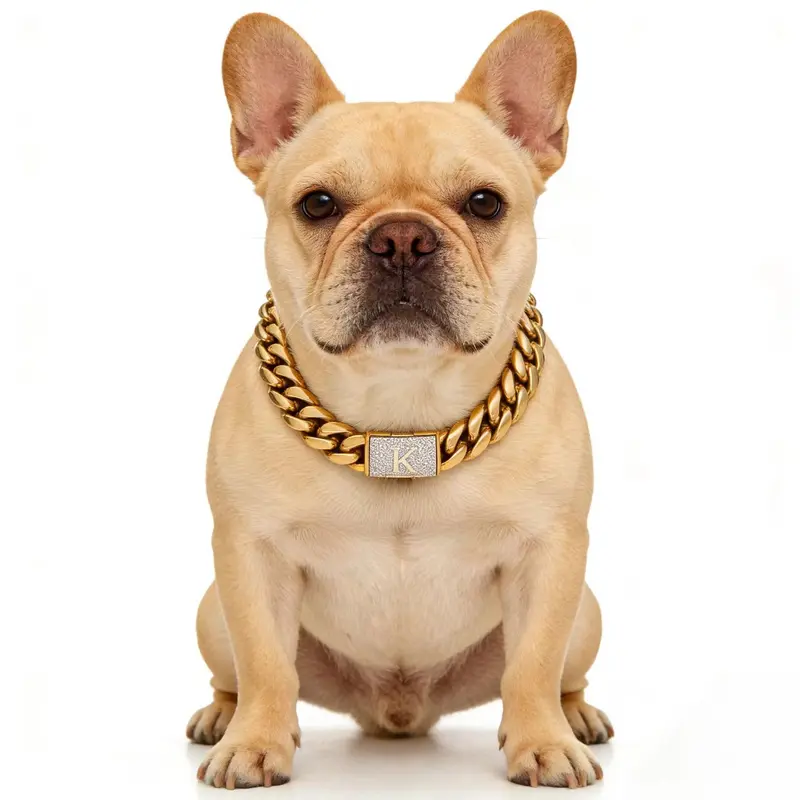 G1 18 Karat Gold Cuban Link Dog Collar, 14MM Heavy-Duty Chew-Proof Stainless Steel Chain with A-Z Zircon Letter, Personalized Accessory for Small, Medium, Large Dogs