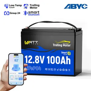 WattCycle 12V 100Ah TM Bluetooth LiFePO4 Battery with 120A BMS surge protection Automatically Cuts and Recovery，boasts ，Deep Cycle Perfect for Trolling Motors Marine Boat RVs，High Power Portable,Easy travel，Smart application control