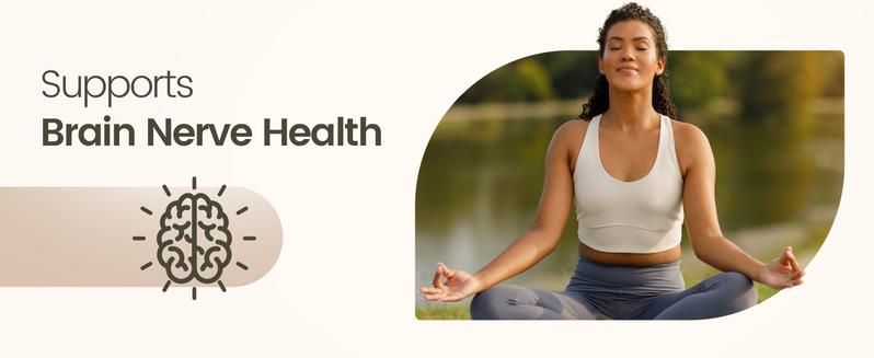 NOORUZ Lion's Mane 900mg - Brain Booster: Focus, Cognitive Boost & Mood Support - With Blueberry Antioxidant Healthcare Bathroom