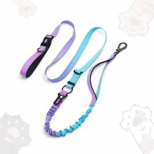 Multi-Functional Anti-Pull durable Dog Leash | Vehicle seatbelt harness | Shock-Absorbing Bungee | Hands-Free Crossbody & Waist Leash | Car Seatbelt Compatible | Adjustable Training Lead