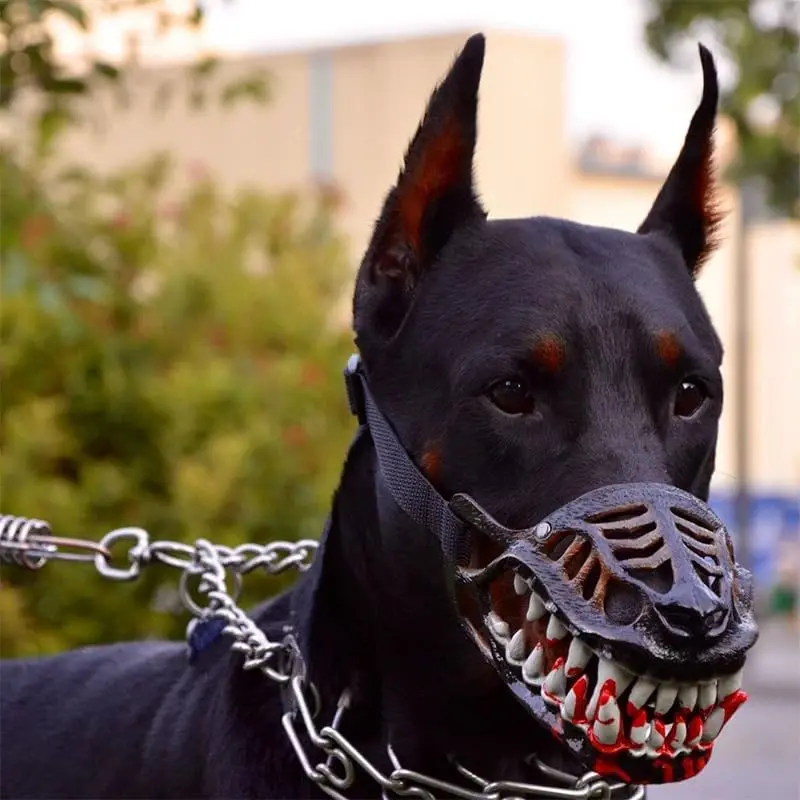 Dog Muzzle Halloween Costume Accessory - Lightweight Latex Freaky Mask with Lifelike Teeth, Adjustable Breathable Cover for 12"-18" Necks, Funny Video Use (Pet Supplies Conventions Compliant), Accessories, Horror-Themed Photos, Realistic Latex Design