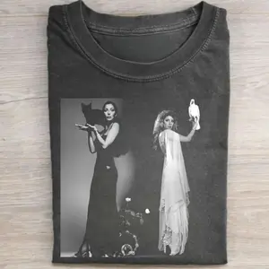 Vintage Cher & Stevie Nicks Graphic Tee, Goddess of Pop Shirt, Boho Aesthetic, Music Fan Gift, Gift For Her FA7