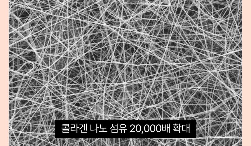 [mixsoon Official Shop] Melting Collagen Neck & Forehead Film 5ea - Smooth & Firm Collagen Neck & Forehead Film, Korean Skincare for Glass Skin