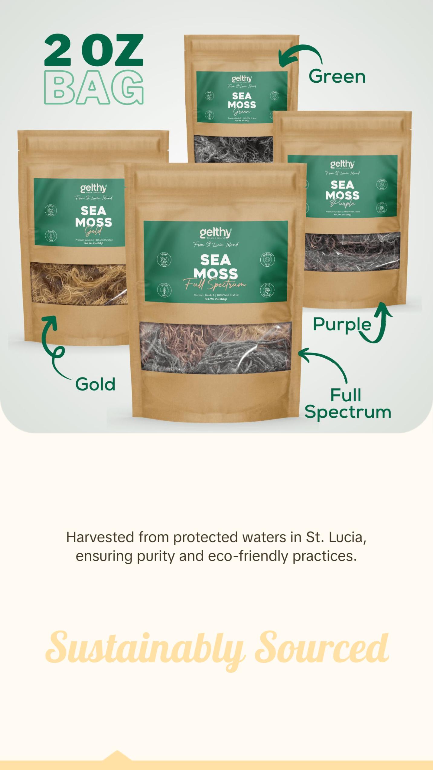 Organic Raw Sea Moss Dried Wildcrafted from St. Lucia