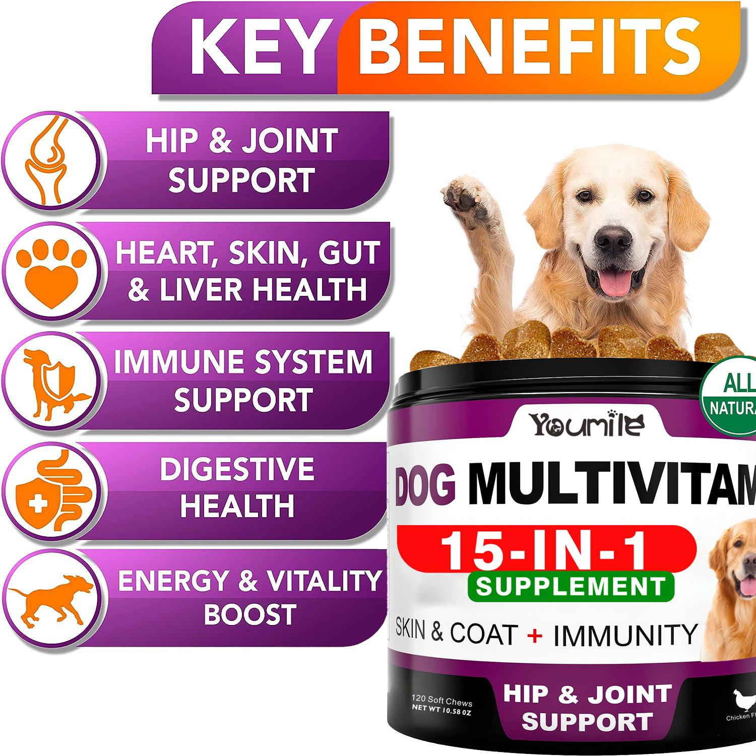 15-in-1 Dog Multivitamin Soft Chews Bulk Pack - Chicken Flavor, Probiotics & Gut Support, Immune Support, 120 Treats