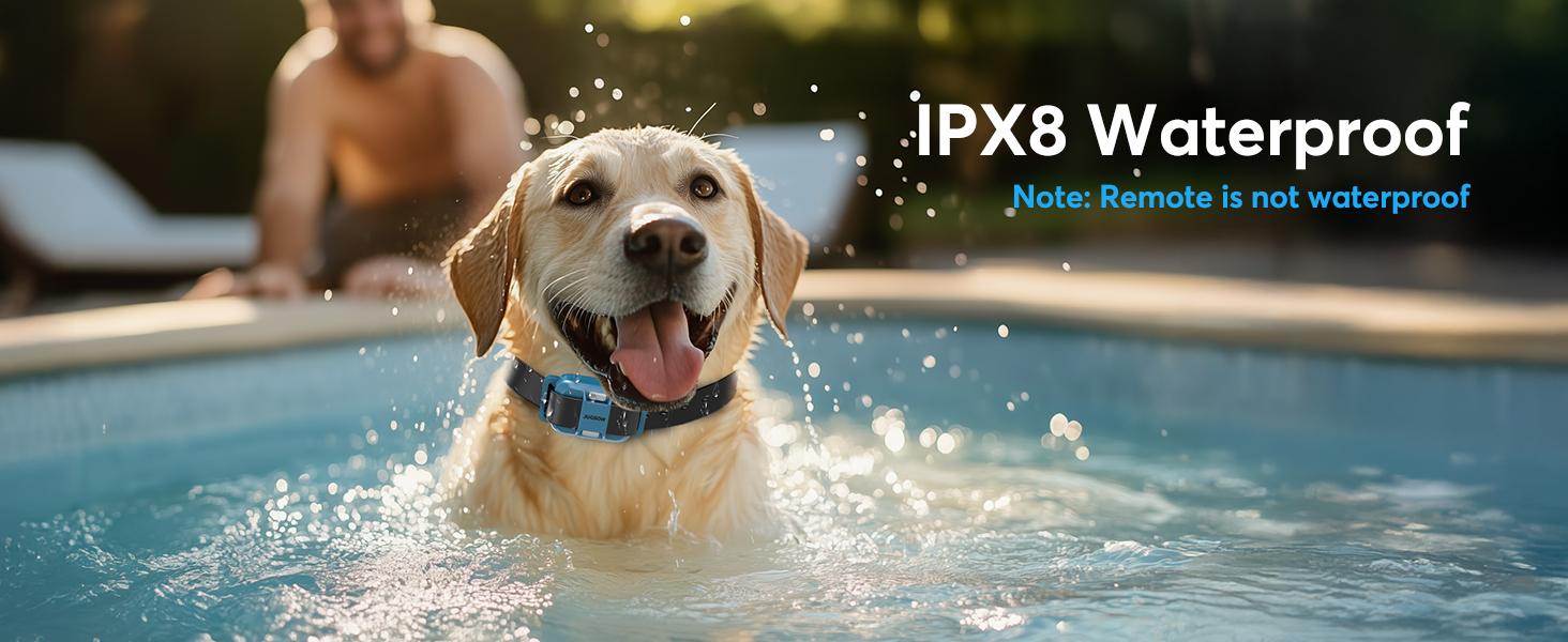 Jugbow Dog Training Collar - 3/4 Mile Dog Shock Collar with Remote for Large Medium Small Dogs, Rechargeable IPX8 Waterproof E-Collar with 99 Blunt Stimulation Levels, Tone or Vibration Mode, LED Light & Security Lock T-100 Jugbow Dog Training Collar - 3/4 Mile Dog Shock Collar with Remote for Large Medium Small Dogs, Rechargeable IPX8 Waterproof E-Collar with 99 Blunt Stimulation Levels, Tone or Vibration Mode, LED Light & Security Lock T-100