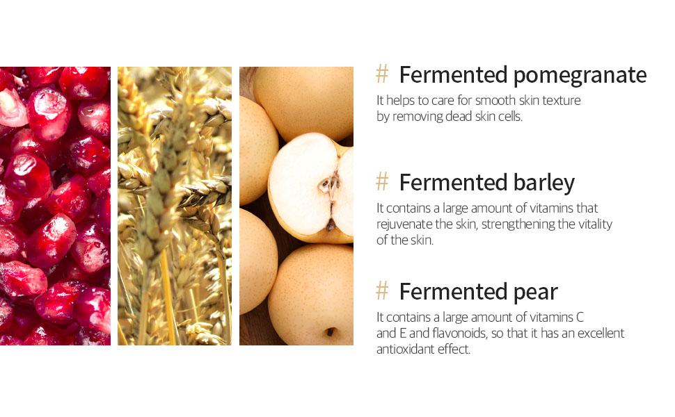 [mixsoon Official Shop] Bean Cream 1.69 fl.oz / 50ml - Intensive Facial Cream, Korean Moisturizer for Glass Skin