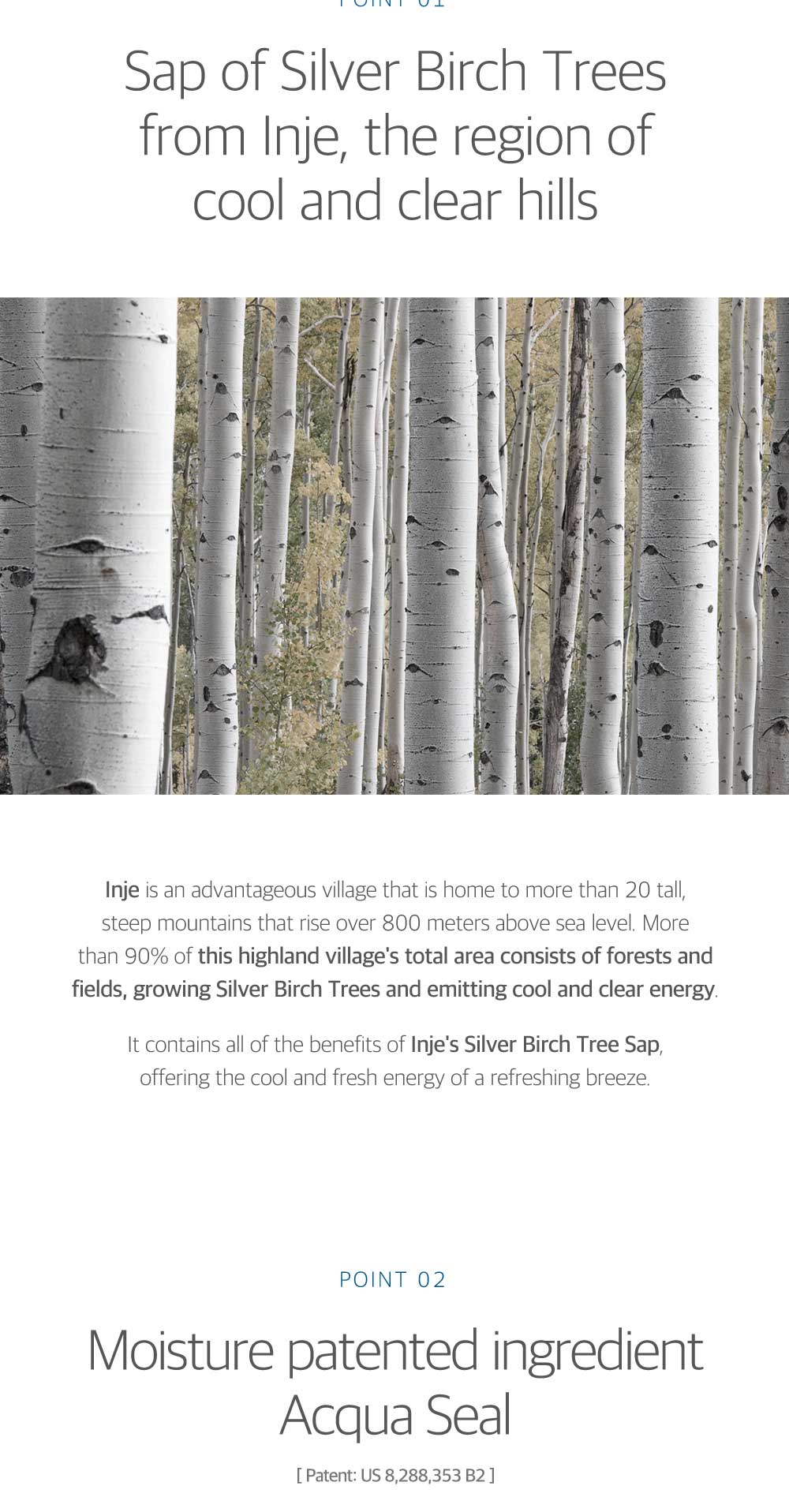 Birch Juice Moisturizing Face Pads_80pcs