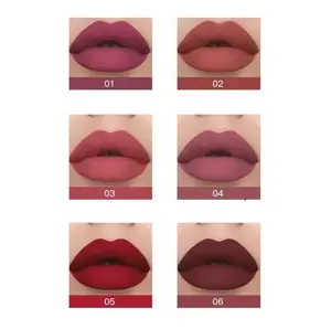 Lipstick Mate Long Lasting Waterproof Velvet Texture Full Coverage Opaque Color Cosmetics for Girls & Women