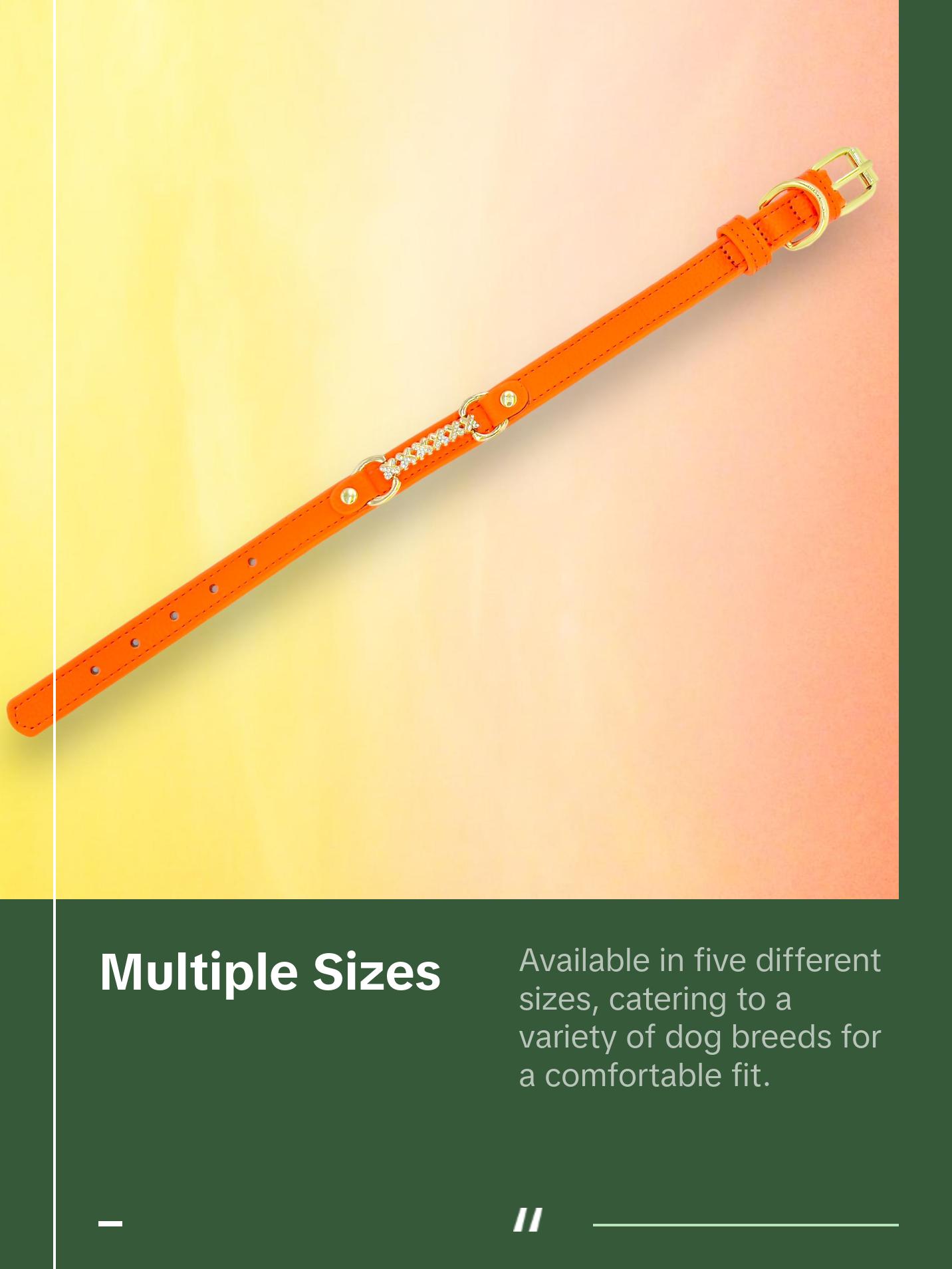 MAXIMA Handmade Leather Dog Collar (Orange and Turquoise)