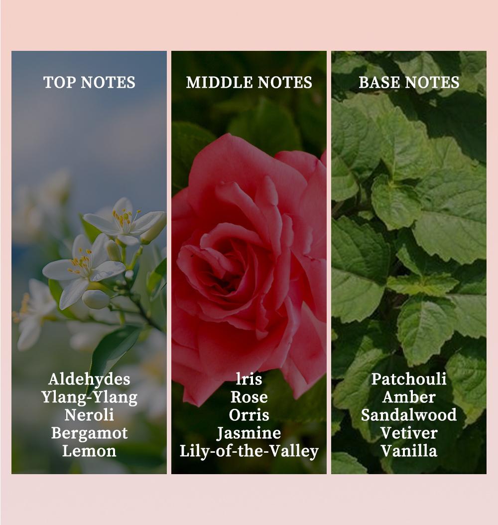 3-Piece Set，Women's Eau De Parfuma Spray Gift Box, Long Lasting Fragrance, 3 Different Flavor, Perfect for Holiday Gifts, Dating, Daily Life, Parties, 3.4fl.oz/bottle, Perfect For Dating, Daily Life, Parties, Gift Giving