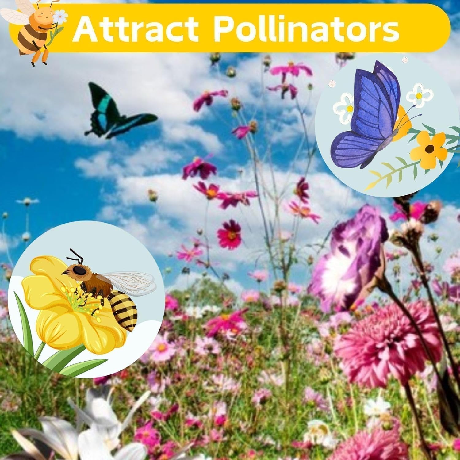 10000 +PCS (Moss Rose) Seeds -Mixed Double Portulaca Grandiflora Seeds Planting Ornaments Perennial Garden Simple to Grow Pots Gifts 10000 +PCS (Moss Rose) Seeds -Mixed Double Portulaca Grandiflora Seeds Planting Ornaments Perennial Garden Simple to Grow Pots Gifts