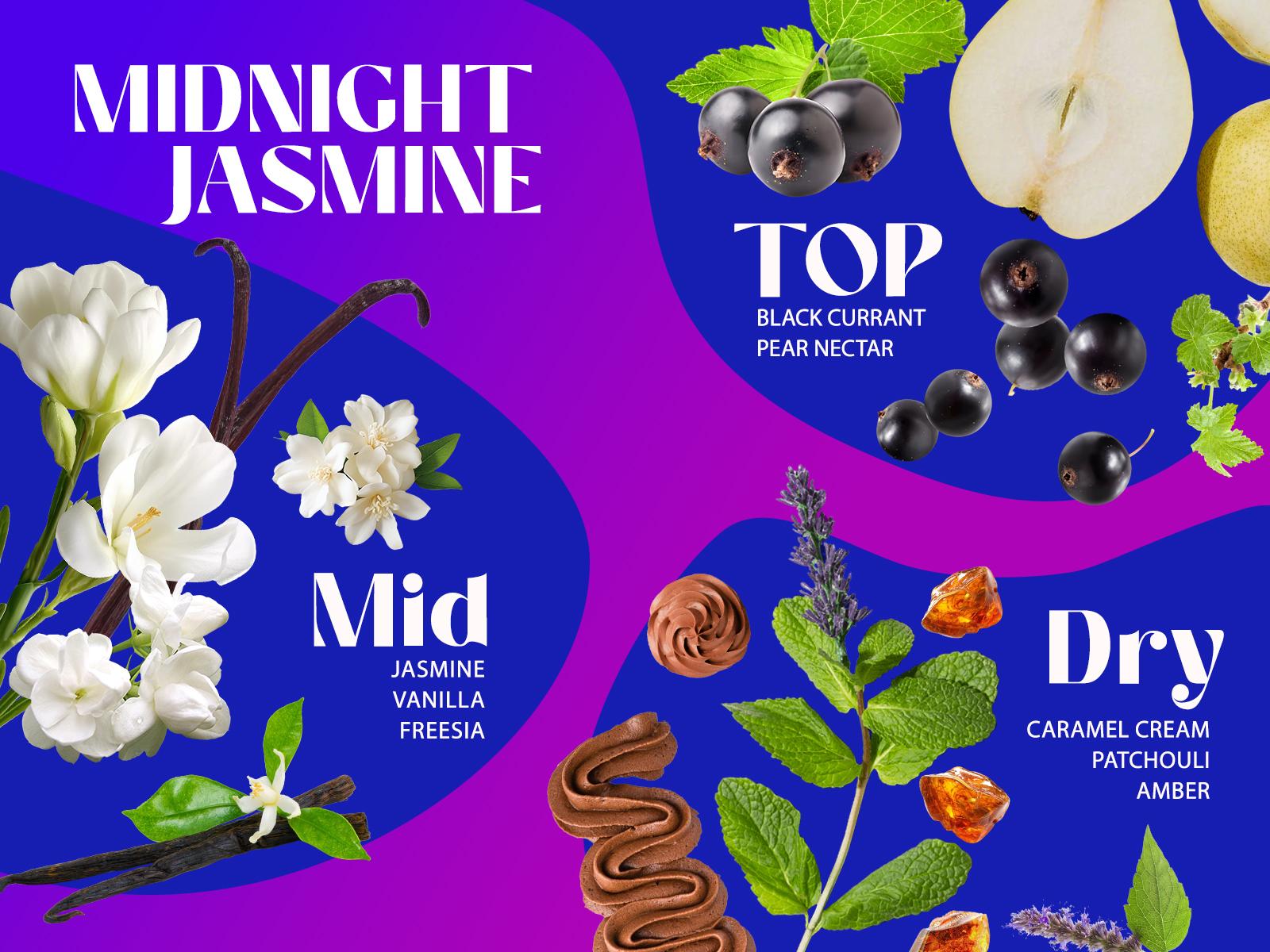 Sttes Perfume 706# (MIDNIGHT JASMINE) – Eau De Parfum 100ml (3.4 fl oz) – Black Currant, Jasmine, Vanilla