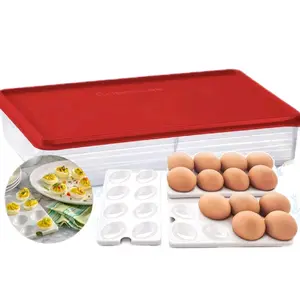 Tupperware Egg Storage Box with Lid for Convenient Food Organization