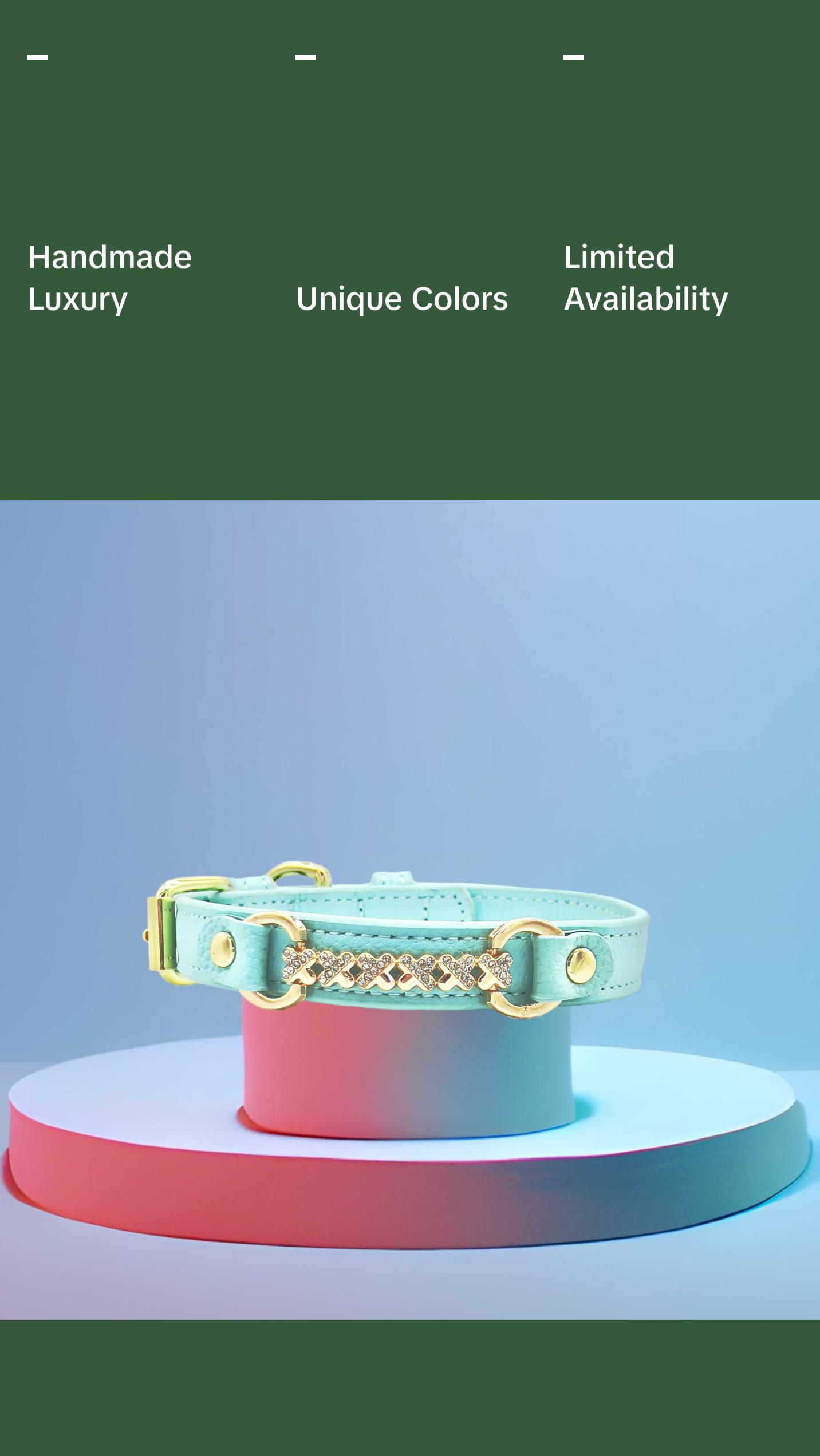 MAXIMA Handmade Leather Dog Collar (Orange and Turquoise)