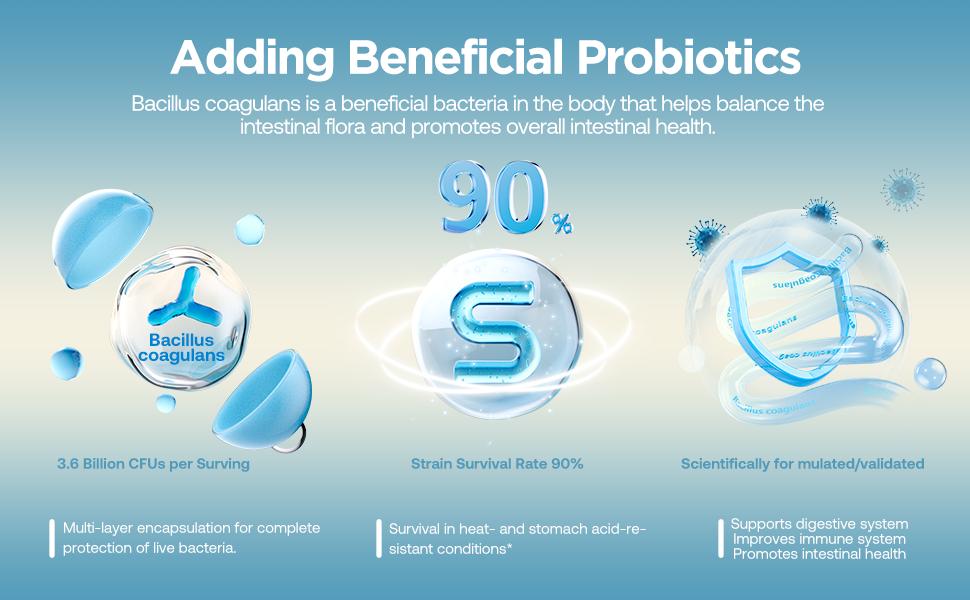 Revitawell Probiotic Gummies for Adults & Teens, 3.6 Billion CFU per Serving, Yogurt Flavor Supplement Wellness probioticwomen Versatile Use Pure Healthcare feminine balance gummies, TikTokShopBlackFriday