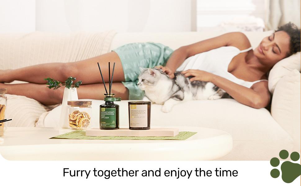 Furry Purr Reed Diffuser for Pet Odor Elimination, Pets Friendly Air Freshening Reed Diffuser for Pet Household, Catnip Calming Pet Deodorizer Set, Gift for Animal Lover, 6 oz
