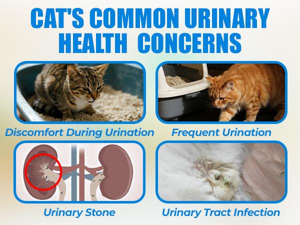 Just Try Urinary Tract Cat Bites - Urinary Support with Cranberry & D-Mannose Bladder Health Formula - Chicken Flavor 6.35 oz