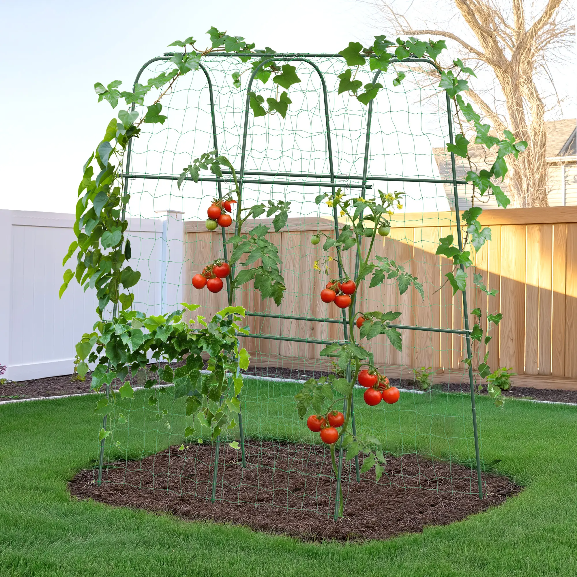 HIRALIY Cucumber Trellis for Climbing Plants Outdoor, Heavy Duty Metal  Garden Arch Trellis, Rustproof Plant Support Tunnel for Tomato, Grape,  Bean, Raised Bed and Vegetable Gardens summergarden - TikTok Shop