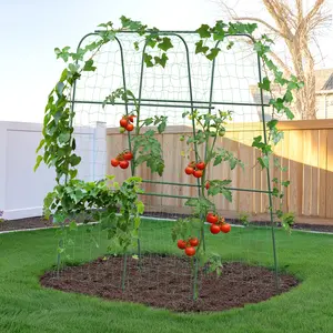 HIRALIY Cucumber Trellis for Climbing Plants Outdoor, Heavy Duty Metal Garden Arch Trellis, Rustproof Plant Support Tunnel for Tomato, Grape, Bean, Raised Bed and Vegetable Gardens