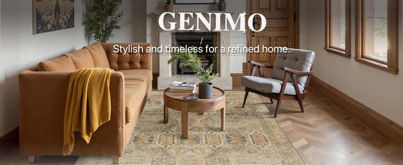 GENIMO Area Rugs, Ultra-Thin Foldable Low Pile Machine Washable Rug, Lightweight Machine Washable Rugs for Living Room Bedroom