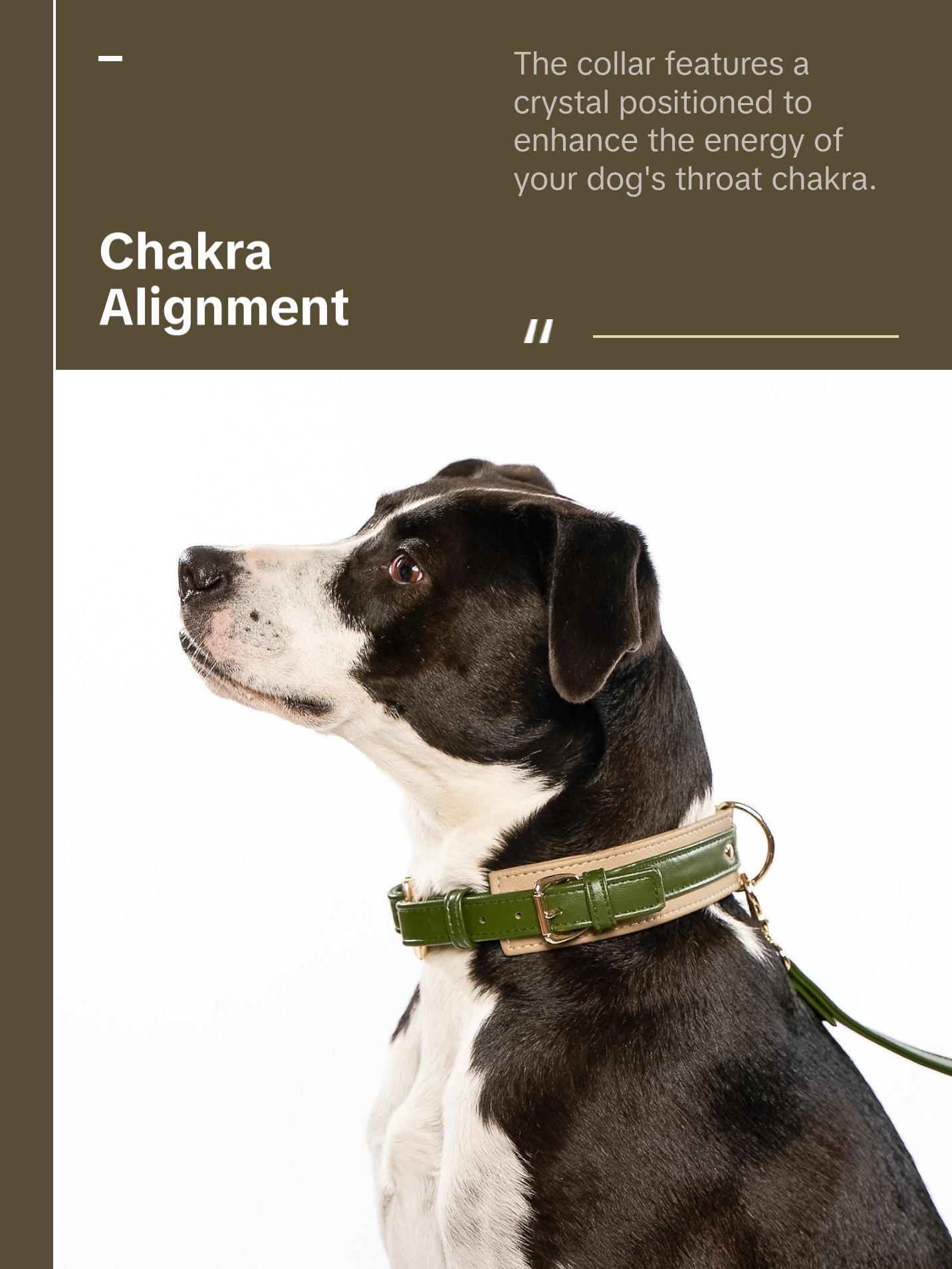 Baby It's You Collar - Nopal Green