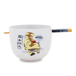 Avatar: The Last Airbender Aang and Appa Ceramic Ramen Bowl and Chopstick Set
