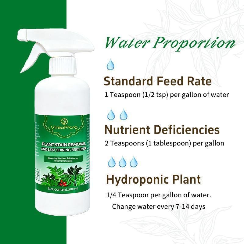 Plant Cleaning & Shine Liquid – Gently Removes Dust, Enhances Leaf Gloss, Nourishes Plants, Ideal for Indoor Greenery & Healthy Growth Plant Cleaning & Shine Liquid – Gently Removes Dust, Enhances Leaf Gloss, Nourishes Plants, Ideal for Indoor Greenery & Healthy Growth