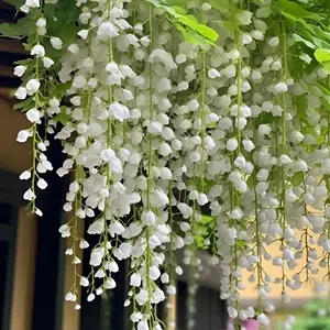 Weeping Jasmine Seeds 100 Count Pack – Decorative Garden Jasmine Flower Seeds for Backyard Garden Borders, Patio Planters, Balcony Pots and Outdoor Landscape Planting – Seeds Only, Not Live Plants