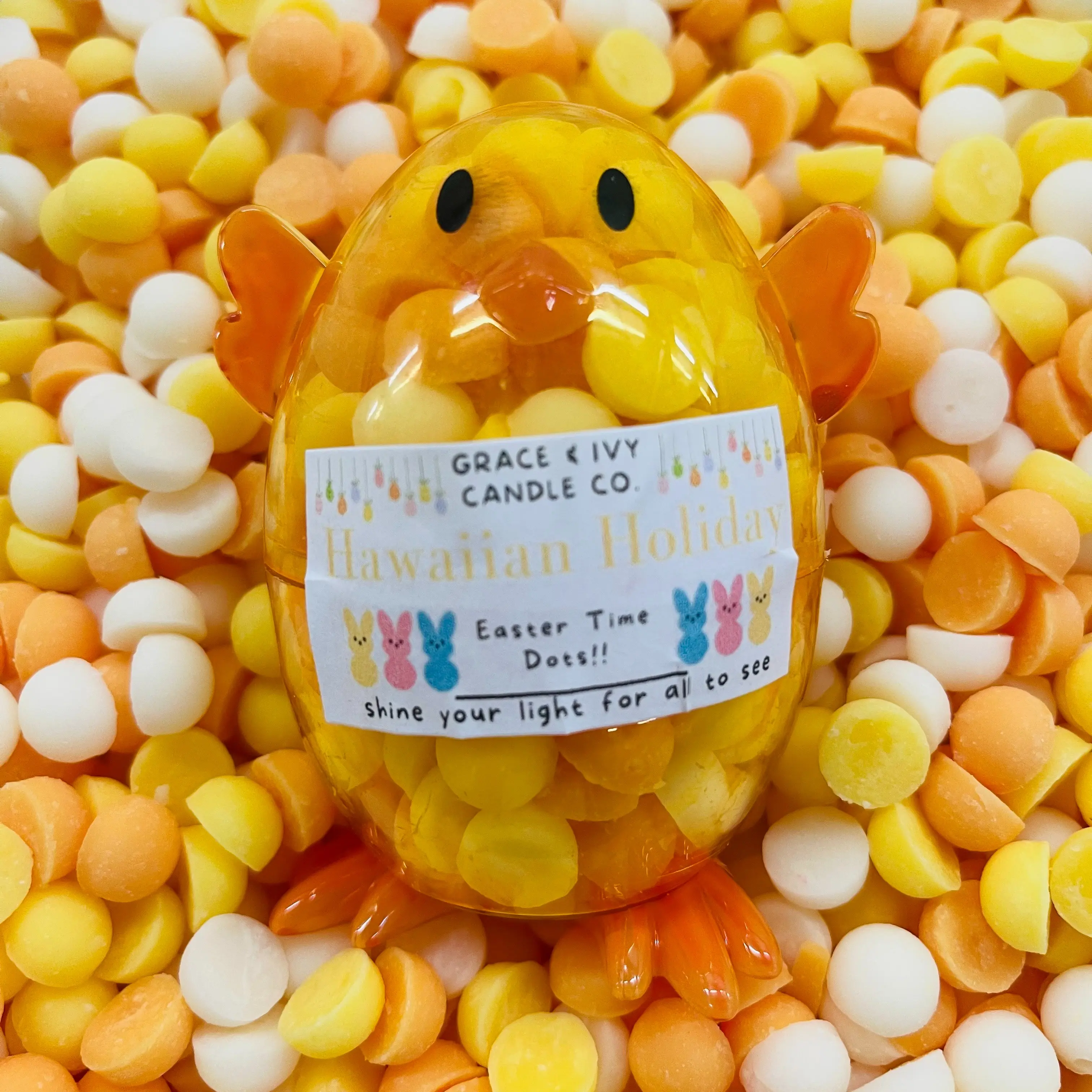 Hawaiian Holiday Baby Chick