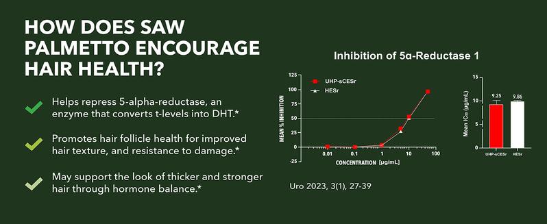 Saw Palmetto 100 Capsules - Natural Prostate Support Supplement for Men - Potent Saw Palmetto for DHT, Urinary and Prostate Health - 3 Month Supply