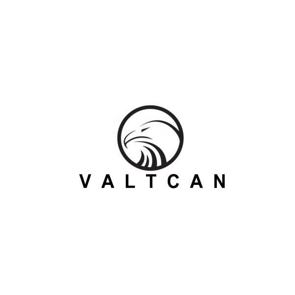 VALTCAN Titanium Spork 3-in-1 Fork Spoon Knife Essential Camping Flatware 24g