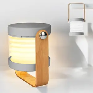 Rechargeable LED Reading Lamp - Flexible Table lamp BedSide Lamp,Portable Night Light for Desk Bedroom Outdoor Camping,Flashlight Usb Plug