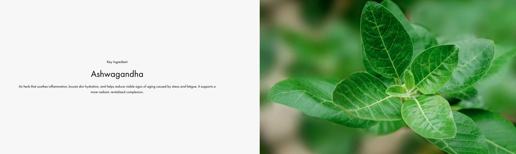 Look Good Drops - Ectoin + Hydropom Antioxidant Skin Tint for Even Tone + Hydration