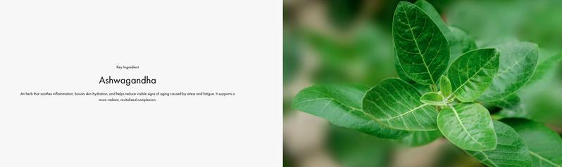 LOOK GOOD DROPS + AM Moisturizer bundle - Skin Tint & Moisturize - Tiege Hanley