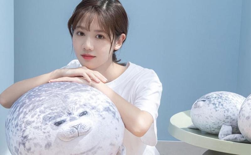 17.6Inch Chubby Blob Seal Pillow, Large Seal Plush Pillow, Soft and Cute Seal Stuffed Animal Toy for Kids and Adults, Great Gift Idea for Christmas, Birthdays and Anniversaries