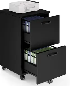 Rolling 2 Drawer Filing Cabinet with Lockable Wheels, Wood Mobile File Cabinet with Printer Stand, Under Desk Storage for A4 Letter Legal Size Files, Black/White