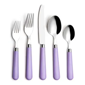 ANNOVA Silverware Set 20 Pieces Stainless Steel Cutlery Color Handle Flatware - 4 x Dinner Knife; 4 x Dinner Fork; 4 x Salad fork; 4 x Dinner Spoon; 4 x Dessert Spoon Lilac Purple