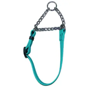 BioThane Martingale Collar