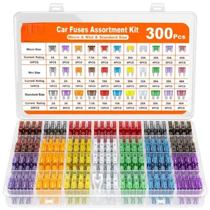 300Pcs Car Fuse Assortment Kit, 160 Mini Blade Fuses Automotive + 90 Standard Auto Fuses + 50 Micro + Puller – Replacement for RV Camper Boat Truck (2Amp 32026
