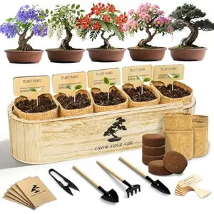 Bonsai Tree Kit for Beginners - Unique DIY Japanese Bonsai Trees,Crafts for Adults, Ideal Gardening Birthday Gift for Women & Men,Complete Indoor Plant Kit