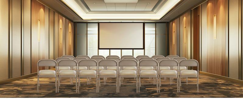 Folding Chair, Leather Padded Folding Chairs, Sturdy Metal Foldable Chairs, Outdoor and Indoor, for Home, Office, Party