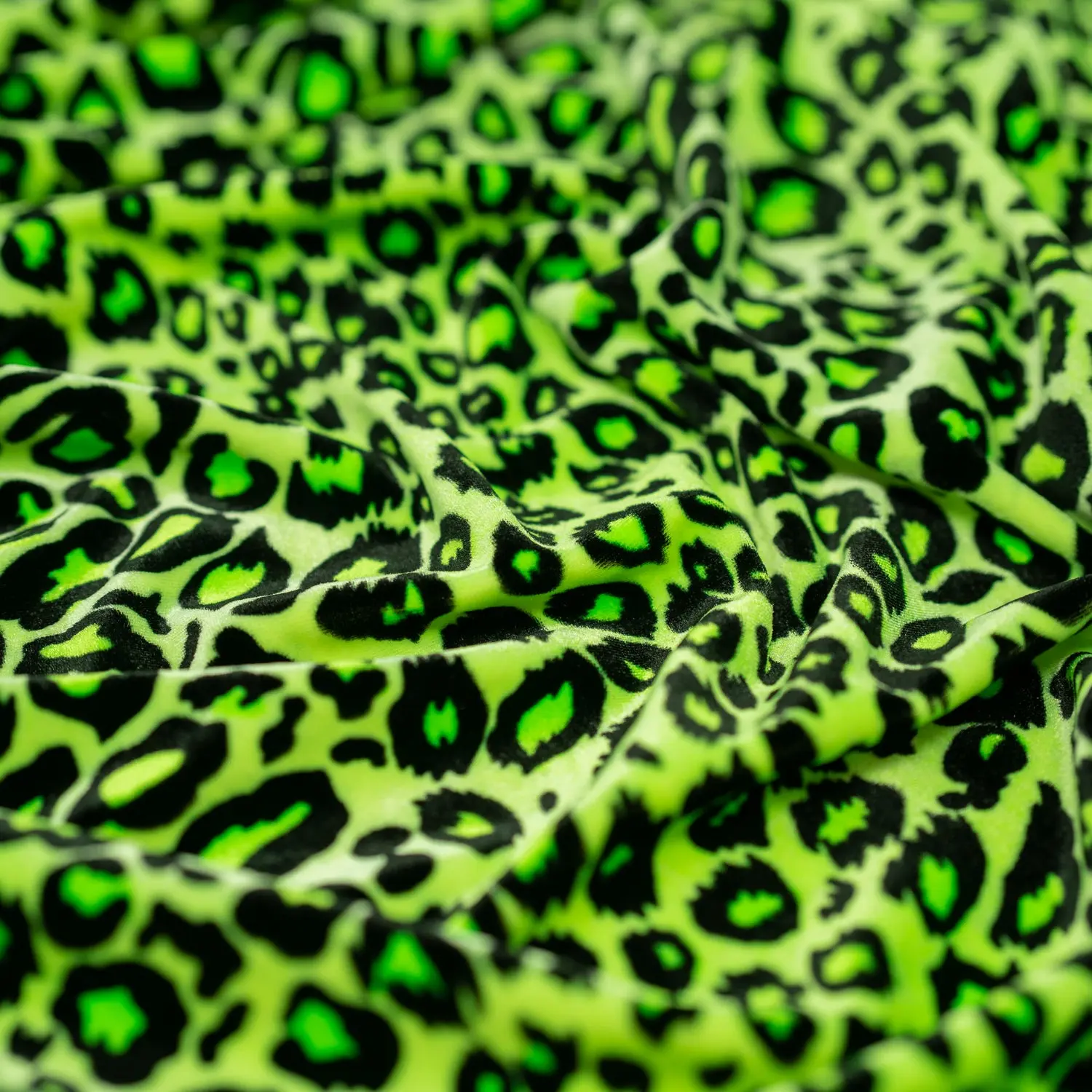 Pug Leopard Primo Stretch Velvet Fabric | Blue Moon Fabrics Pug Leopard Primo Stretch Velvet Fabric | Blue Moon Fabrics