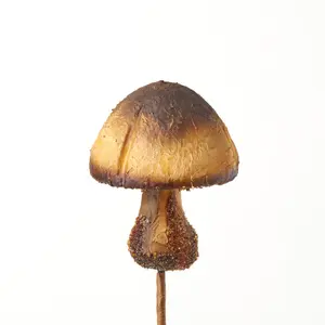 Large Woodland Mushroom on Stem - 11"