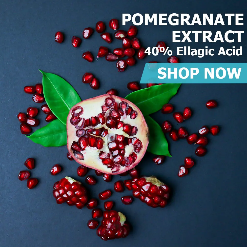 Pomegranate Extract (40% Ellagic Acid) Healthcare Vitamin Dietary