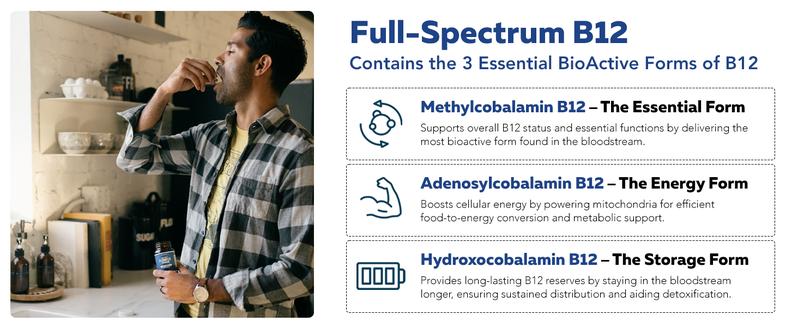 BioActive Vitamin B Complex | Methylated B-Vitamin Formula with Methylfolate, 3 Forms of B12, BenfoPure B1, and Pantesin B5 – 60 Servings