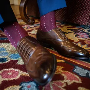 The Regencys - A Deep Red Sock with Light Blue Pin Dots