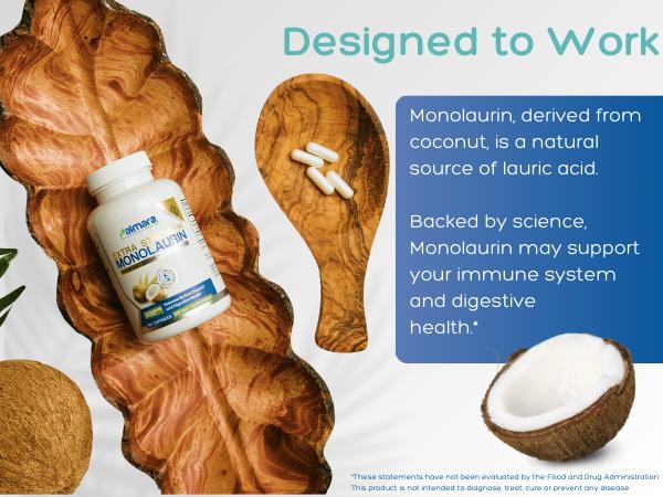 Monolaurin 800mg – Extra Strength Formula for Immune and Digestive Health, 100 Capsules | Palmara Health Monolaurin 800mg – Extra Strength Formula for Immune and Digestive Health, 100 Capsules | Palmara Health
