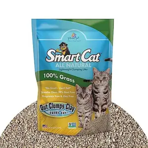 SmartCat All Natural Clumping Cat Litter, 10 Pound (160oz 1 Pack) - Alternative to Clay and Pellet Litter - Chemical and 99% Dust Free - Unscented and Lightweight